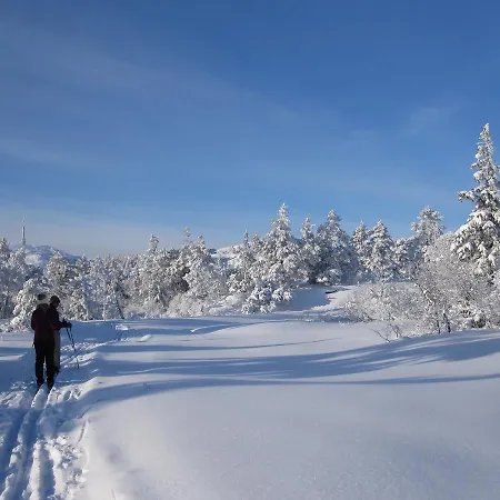 Fredheim Livsstilssenter Saggrenda
