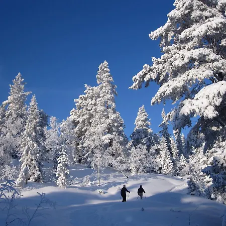 Fredheim Livsstilssenter Resort Saggrenda