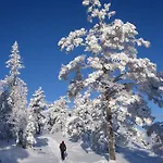 Fredheim Livsstilssenter Resort Saggrenda