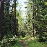 Fredheim Livsstilssenter